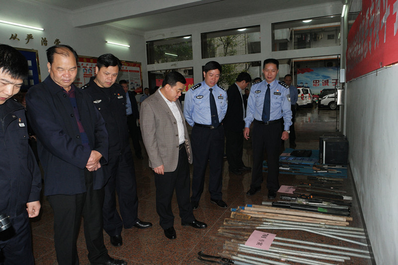 岑溪市人大常委会专题调研扫黑除恶专项斗争工作