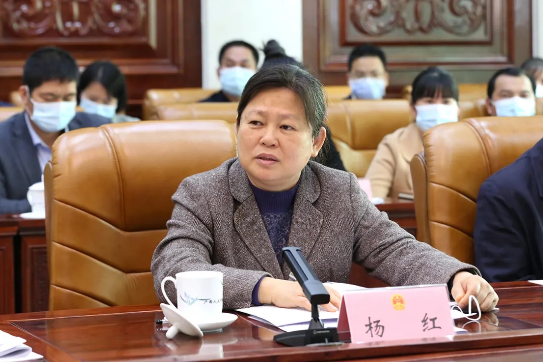玉林市人大常委会主任杨红