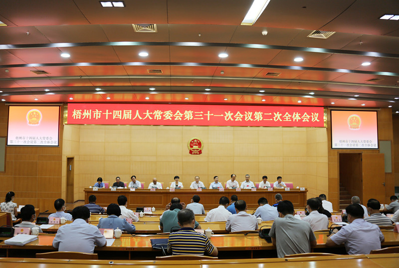 市人大常委会第三十一次会议召开第二次全体会议